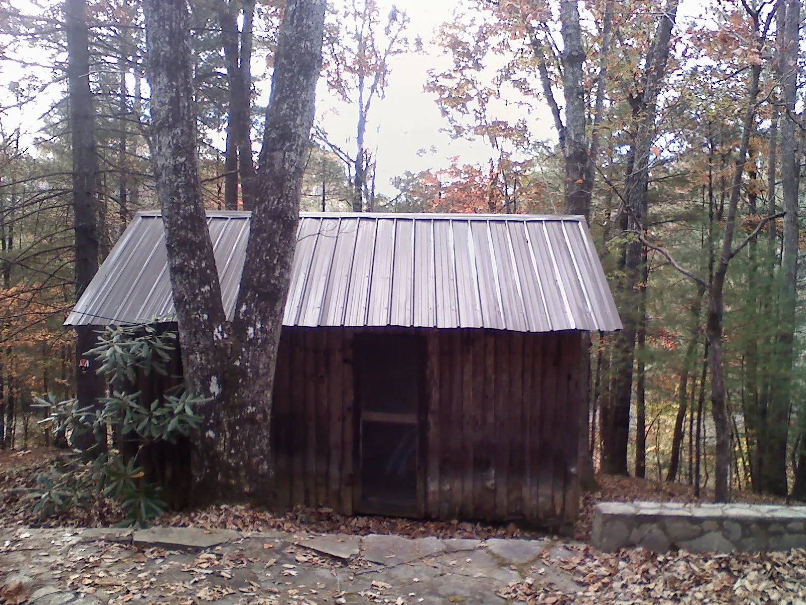New metal gable roof on a small log shed among the trees in Amboy